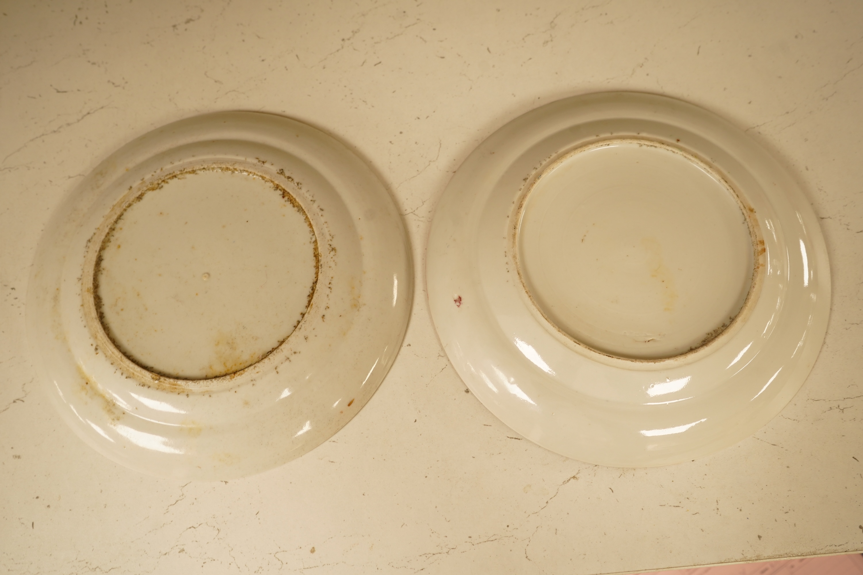 A pair of 19th century Chinese famille rose 'butterfly' plates, 21.5cm